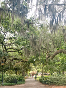 The Ultimate Itinerary for a Bachelorette Weekend in Savannah